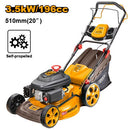 Ingco Gasoline lawn mower - GLM196202